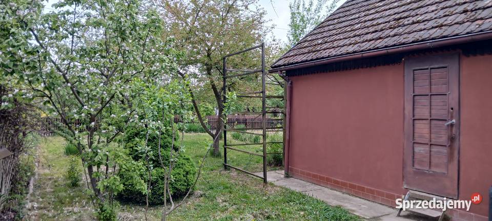 Ogród rekreacyjny ROD z domkiem jeziora Nysa