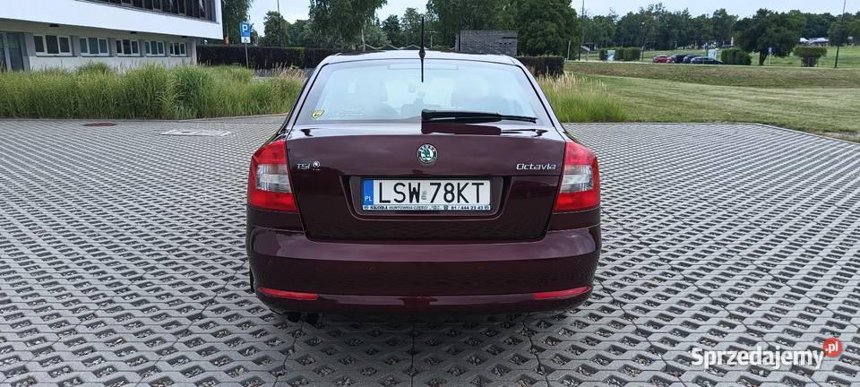 Skoda Octavia II FL z polskiego salonu Octavia