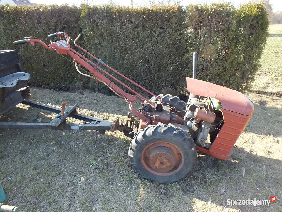 Dzik 221 nie Ursus C 308 Sprawny Osprzęt Kurier Golasowice