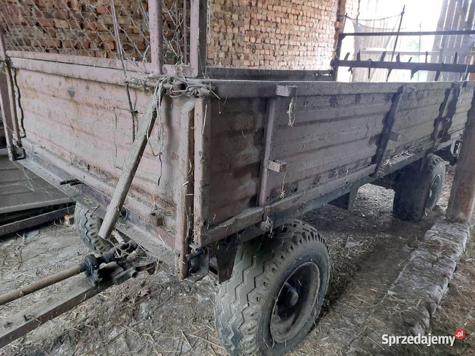 Rozrzutnik Obornika opolskie