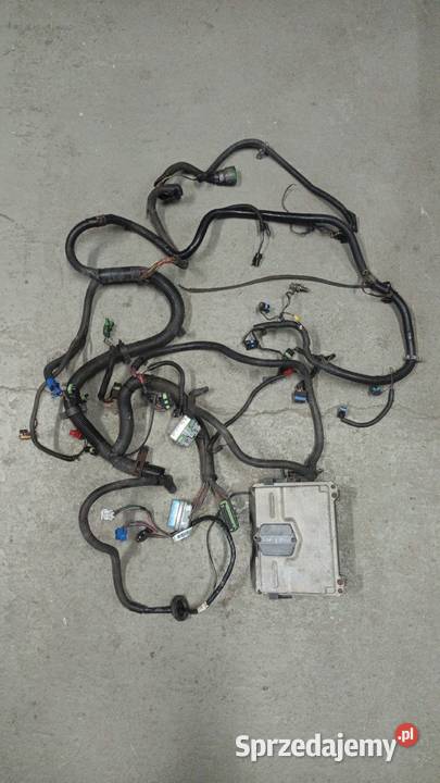 Instalacja elektryczna Silnika Pontiac Firebird osobowe Sępólno Krajeńskie