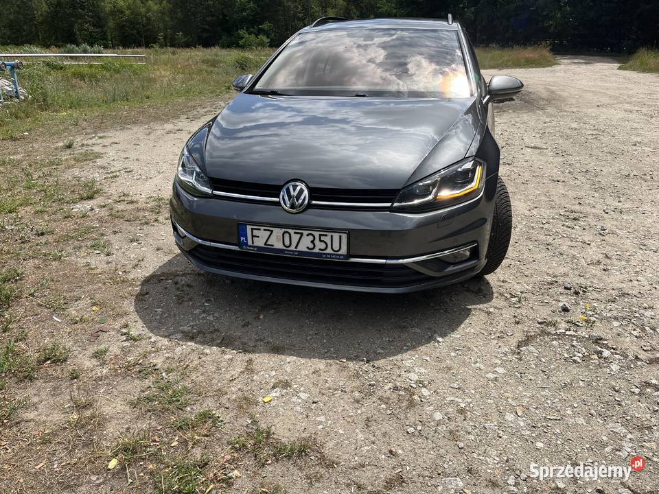 Volkswagen Golf VII 16 TDI kombi 2018 Zielona Góra