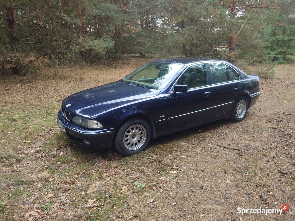 BMW E39 530d Aut 2000r lift do negocjacji światła przeciwmgielne Sochaczew