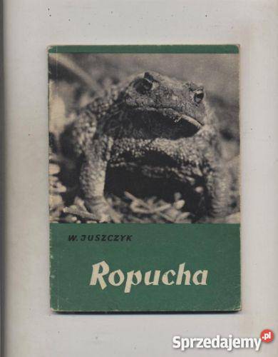 Ropucha Szczecin