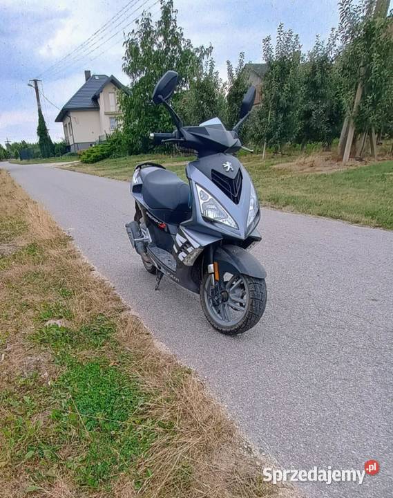 Peugeot Speedfight III łódzkie Gułki sprzedam