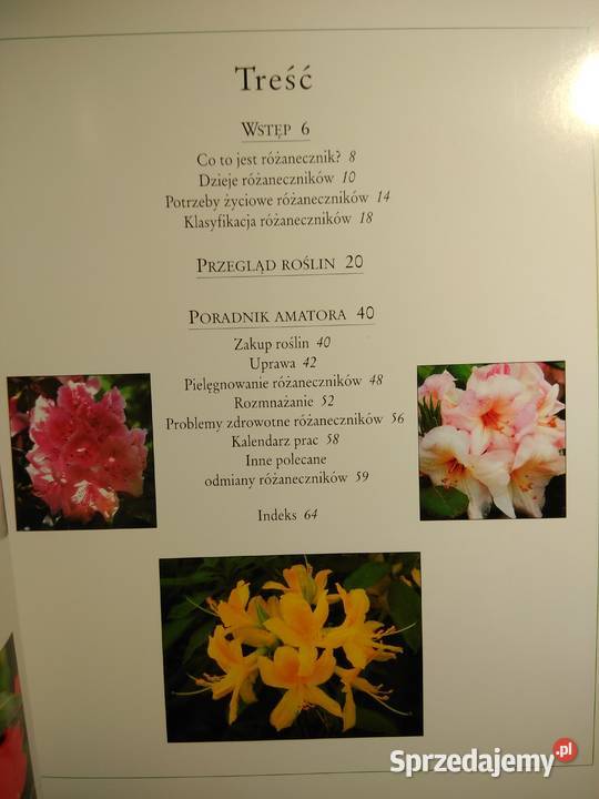 Różaneczniki książka Bródno kwiaty księgarnie Warszawa