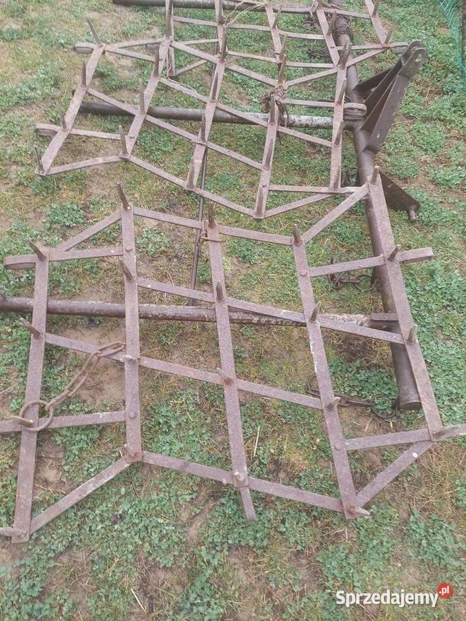 Brony grudziądz 3 polowe Blizne