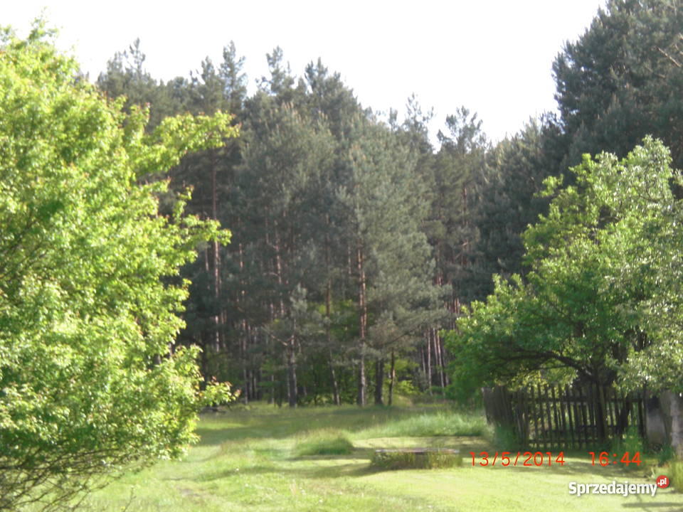 Pięknie położony dom jednorodzinny Rok budowy 1970 Jemielno