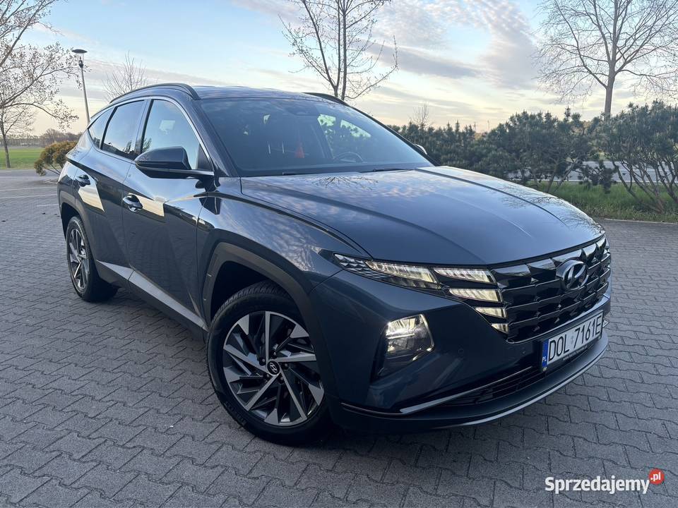 Hyundai Tucson Executive 2021r Polski salon klimatyzacja Międzybórz