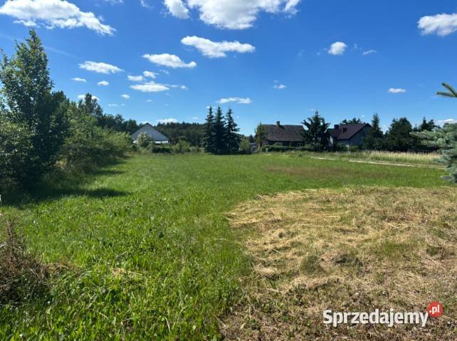 Dom i budynek usługowy 200 m2 działka 4 335 m mieszkalny Osipy-Wydziory Pierwsze