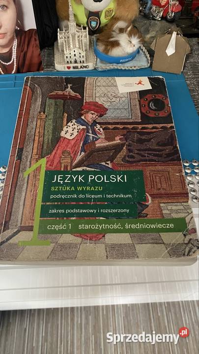 Książkę Język Polski Do technikum liceum śląskie Tychy sprzedam