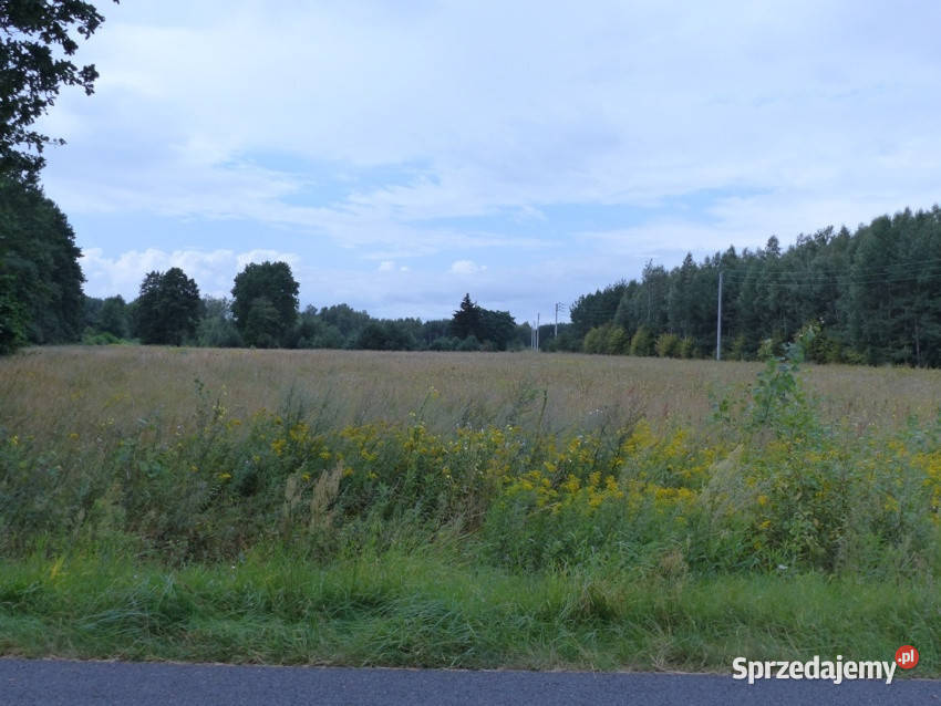 Działki rolnobudowlane k Płocka Lipna Małomin