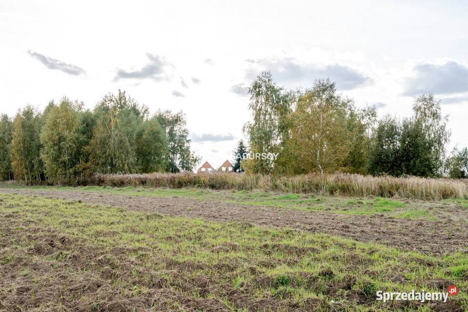 Grunt 2500m2 Cholerzyn