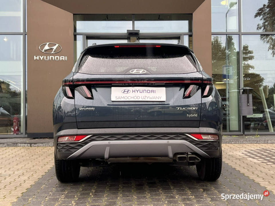 Hyundai Tucson 16TGDI HEV 230 EXECUTIVE Salon Piotrków Trybunalski