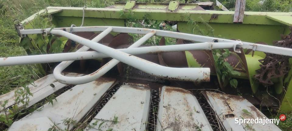 Przystawka heder Claas Jaguar 6 rzędowy Claas warmińsko-mazurskie Szczytno