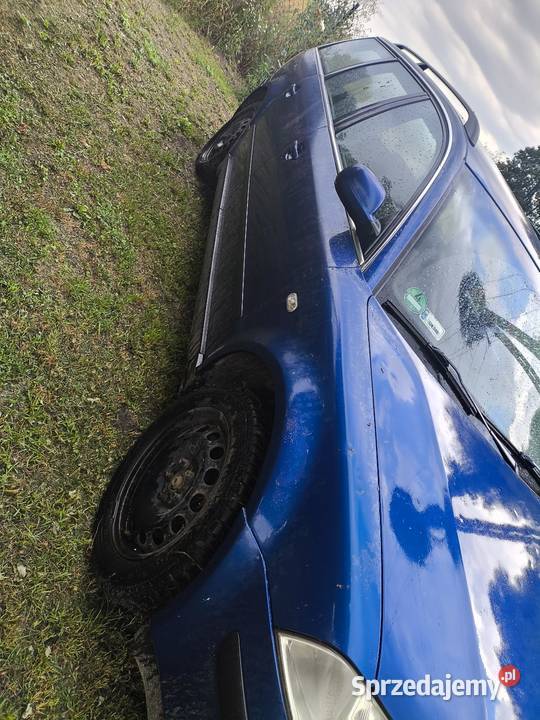 Volkswagen Passat B5 Bekiesza
