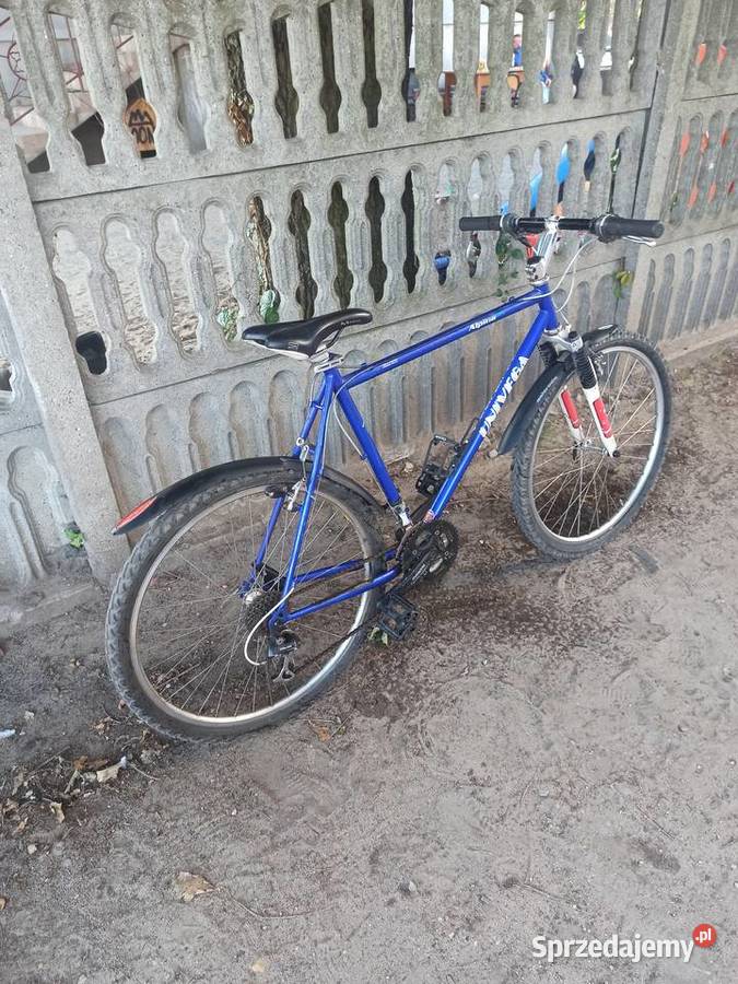 Sprzedam Rower górski Alpina 505 Górskie, MTB