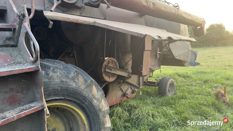 Kombajn Bizon ze stołem do rzepaku Cyców