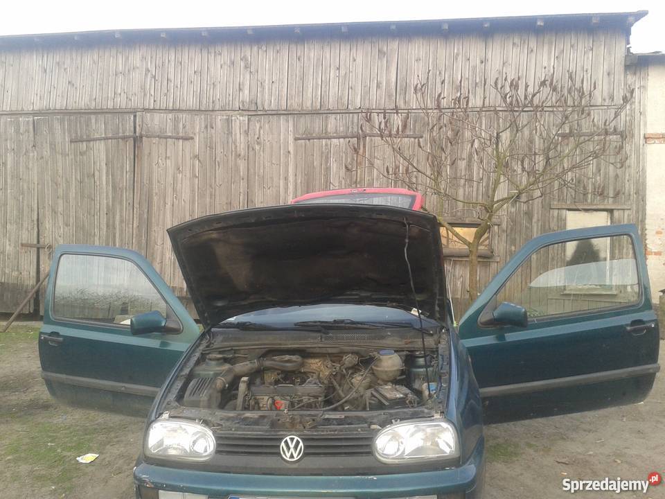 sprzedam kujawsko-pomorskie Milewko