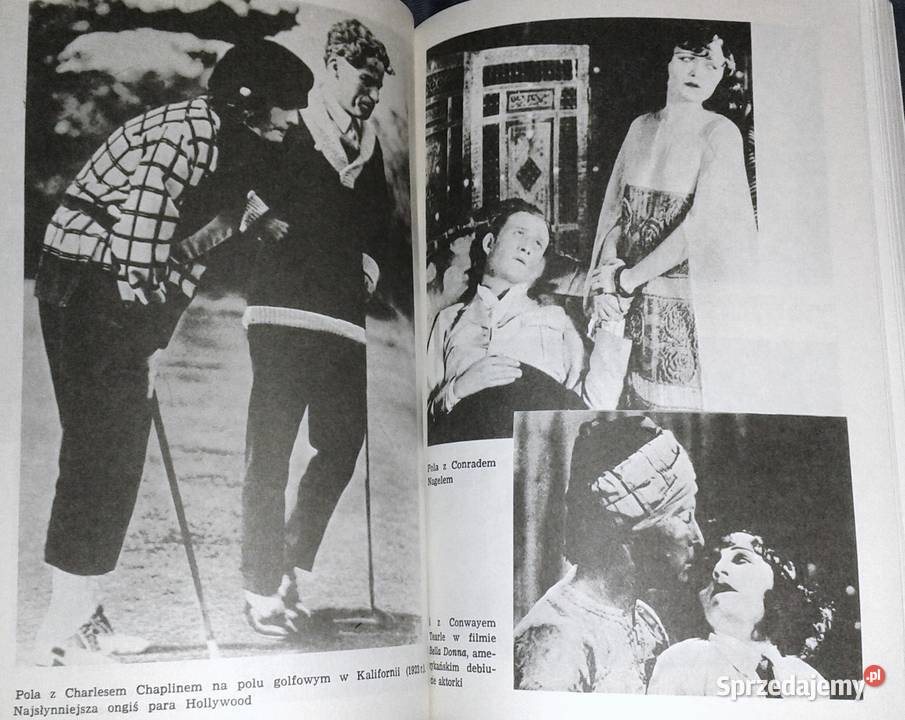 Polita Wiesława Czapińska Chełm