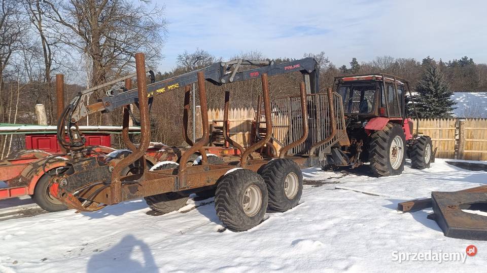 Belarus wersja leśna z przyczepa zrywkowa Palms Osiecznica