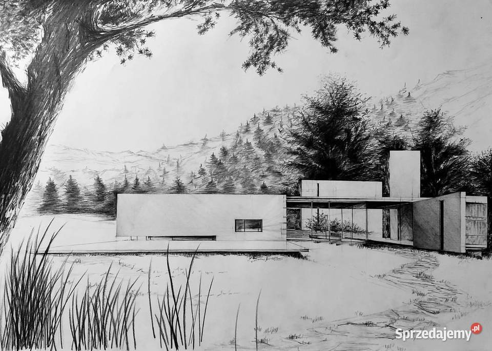 Unikatowy rysunek na zamówienie Moskorzew