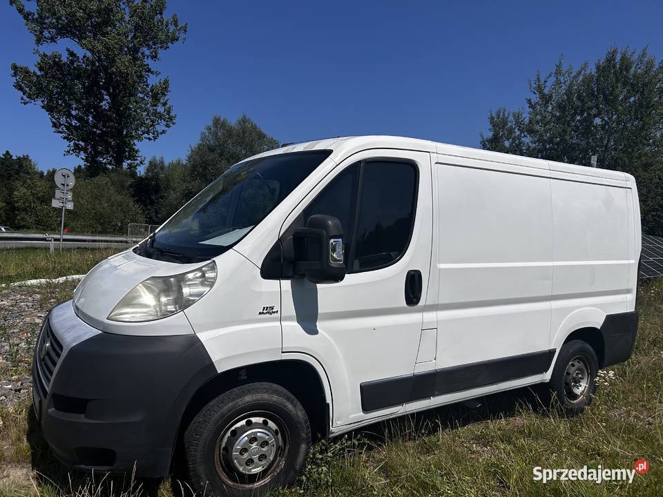 Fiat Ducato Niedźwiedź