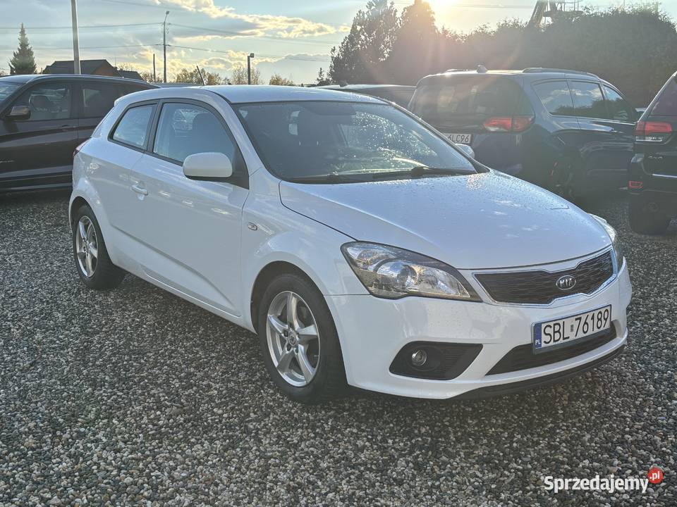 Kia Ceed Paniówki
