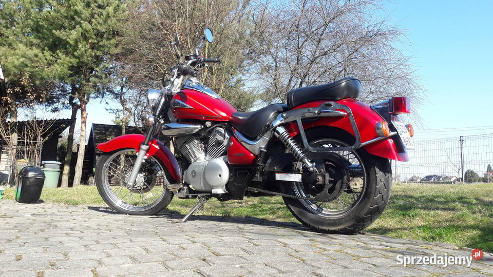 Suzuki Intruder VL 125 50649km Suzuki Rudziczka