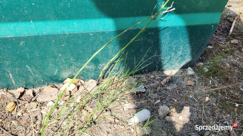 Drzwi Fiat Seicento Łagów