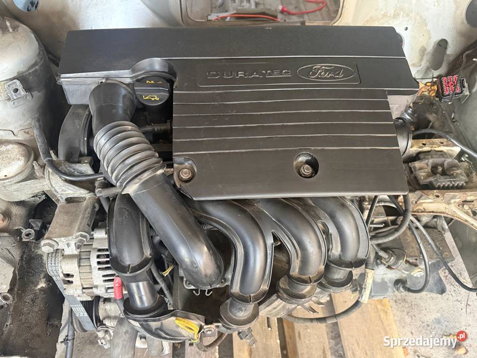 Silnik kompletny z osprzętem Duratec 125 75 do Jastkowice