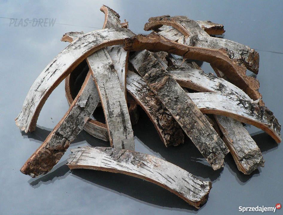 Kora z brzozy brzozowa 25 Susz dekor Łódź