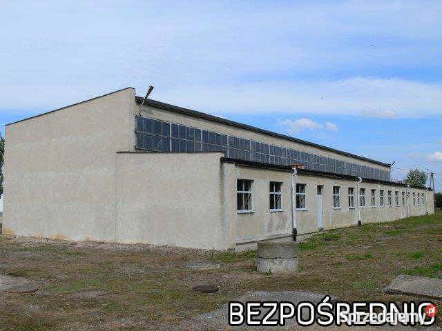 lokal do sprzedania Oświęcim Oświęcim