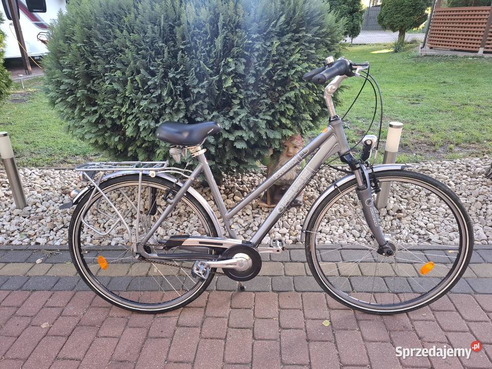 Rower damski Pegasus