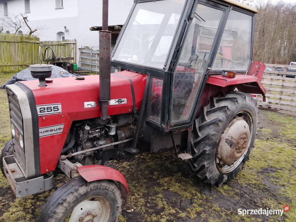 MF 255 Ursus z kabiną 1989 Uszkodzony nie Namysłów