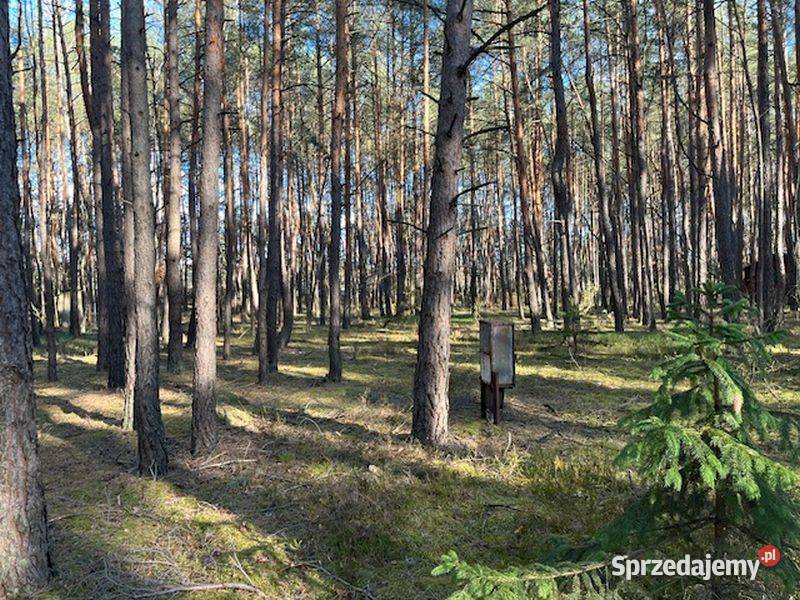 Syndyk sprzeda udział 12 w działce w Nowym 1565m2 Sprzedaż Nowy Żabieniec