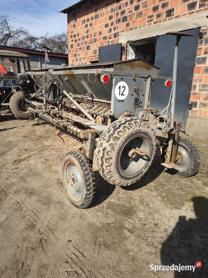 Siewnik mazur wielkopolskie Dryja