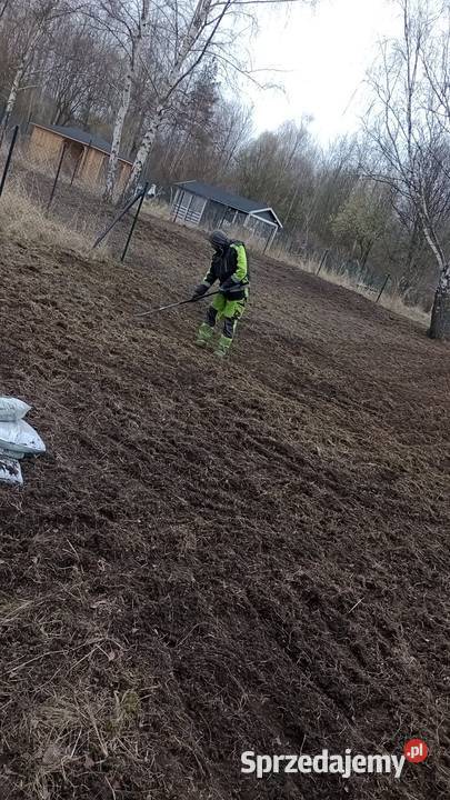 Karczowanie Czyszczenie DziałekWywóz itp Katowice