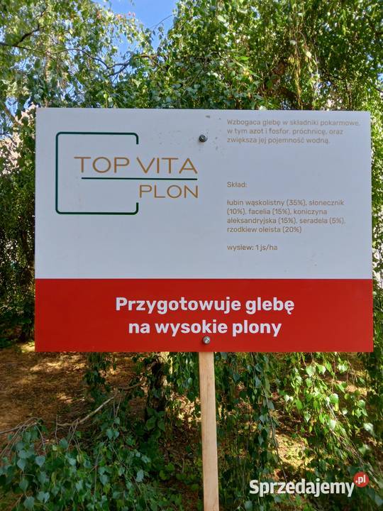 Mieszanka międzyplonowa Top Vita Plon Węglówka sprzedam