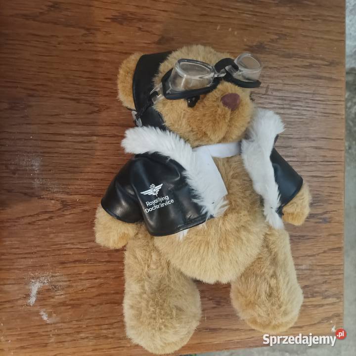 Pluszak Miś Teddy pilot