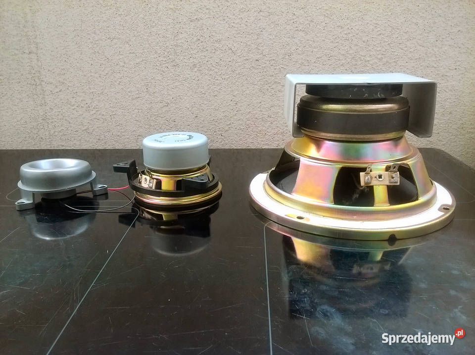 Głośniki do Aiwa SXN999Mk2 łódzkie Łódź