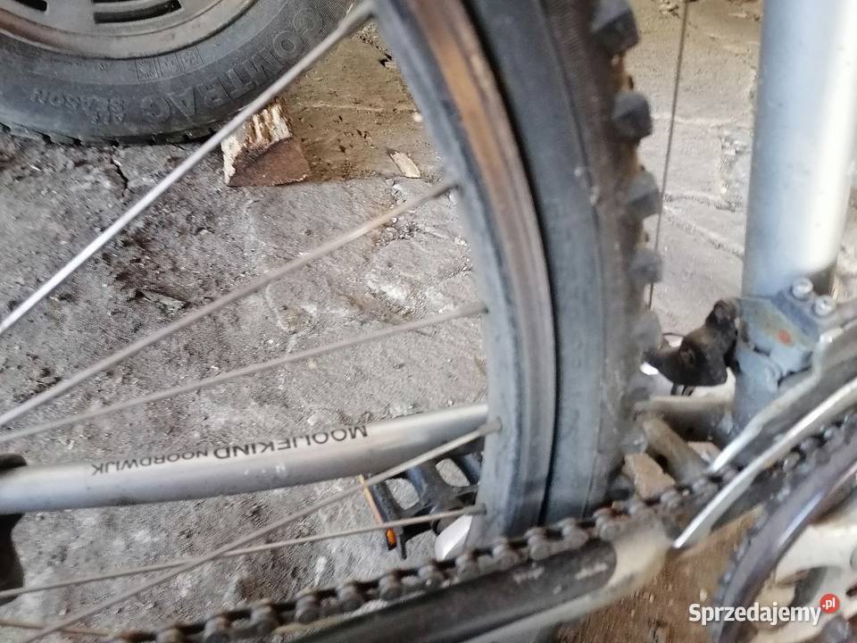 Rower męski Krotoszyn