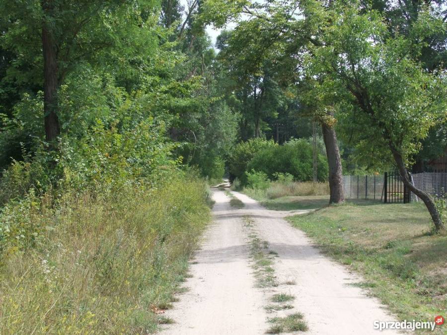 Piękna działka we wsi Kosyń gmina Wola Uhruska Grunty i działki