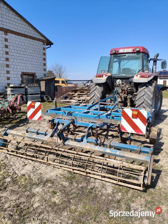 Bezorkowiec czterobelkowiec rabe Motycz