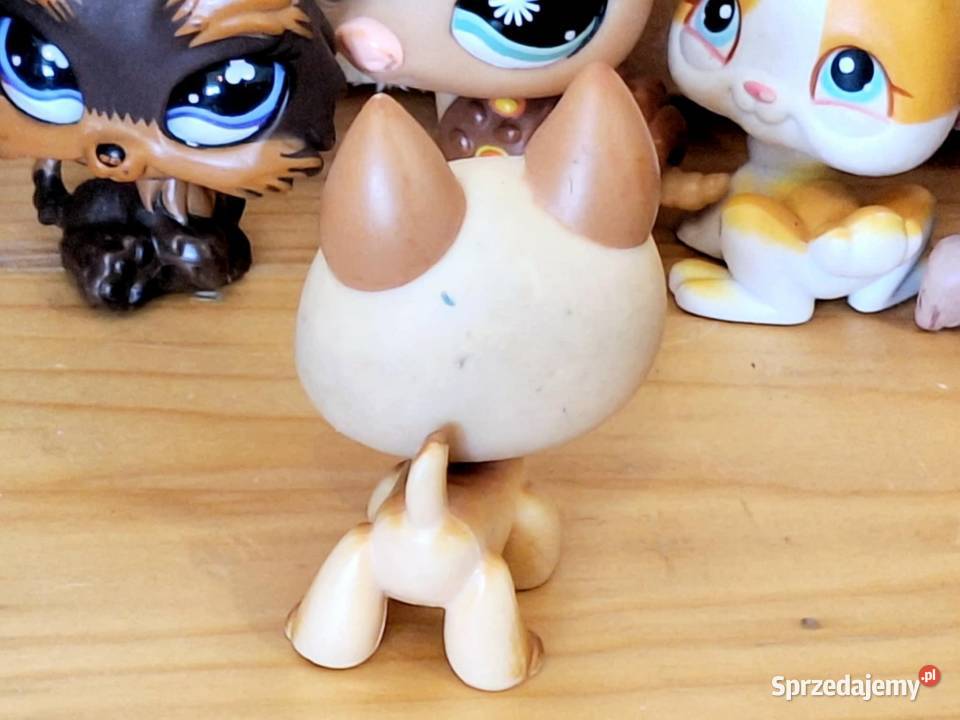 Owczarek niemiecki Littlest Pet Shop Braniewo sprzedam