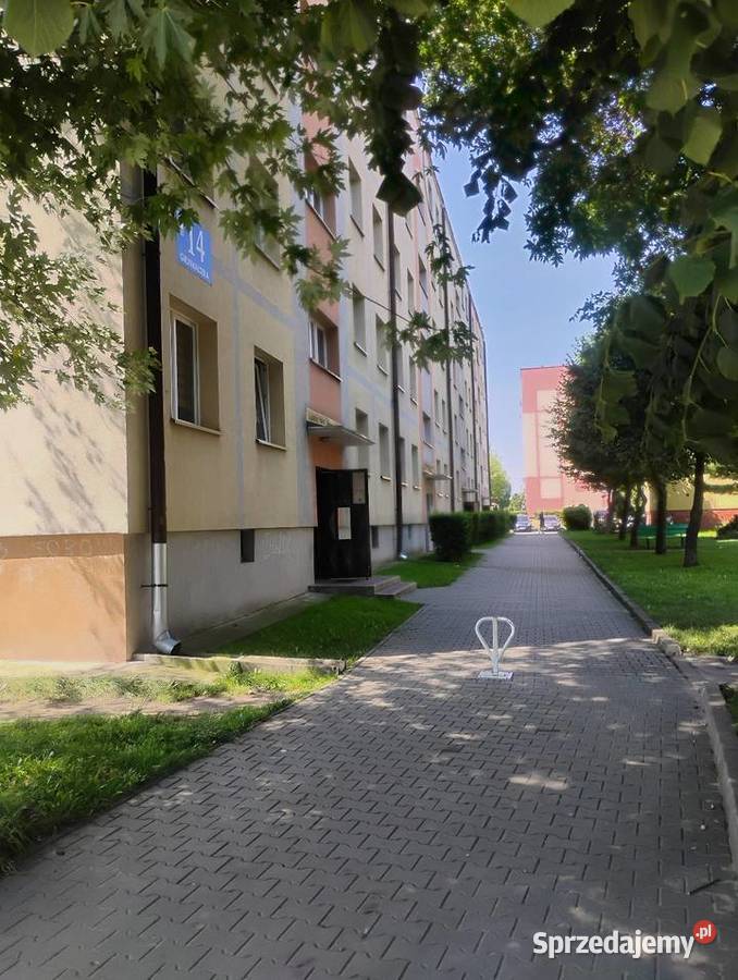Kawalerka Zambrów podlaskie