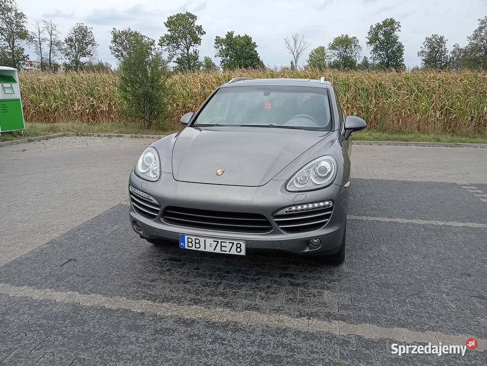 Porsche Cayenne Łubin Rudołty