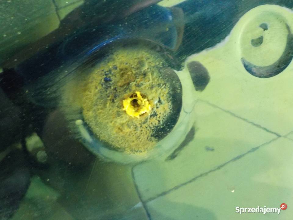 TOYOTA AVENSIS III T27 09r SEDAN 4D klapa tyl sprzedam