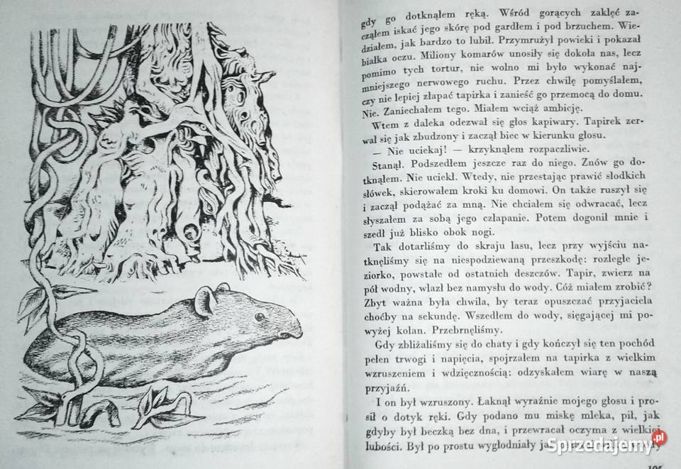 Zwierzęta z lasu dziewiczego Arkady Fiedler Pozostałe lubelskie Chełm