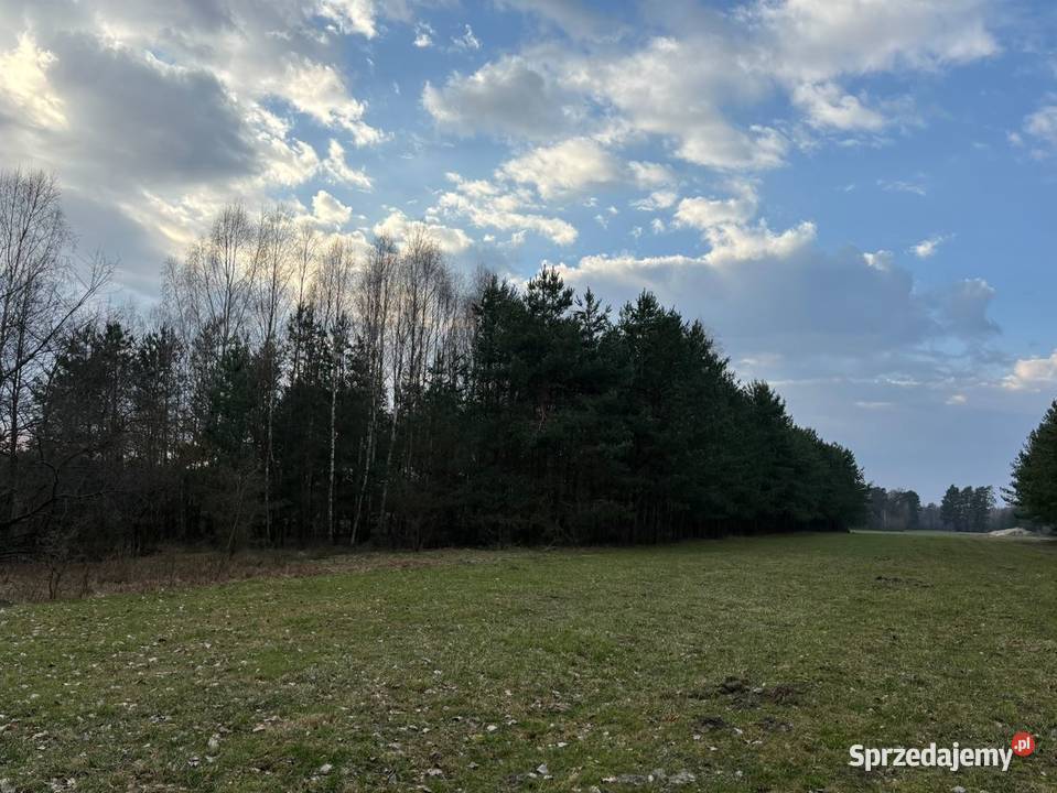 Działki 240 ha w Nagoszewie gm Ostrów Mazowiecka Nagoszewo